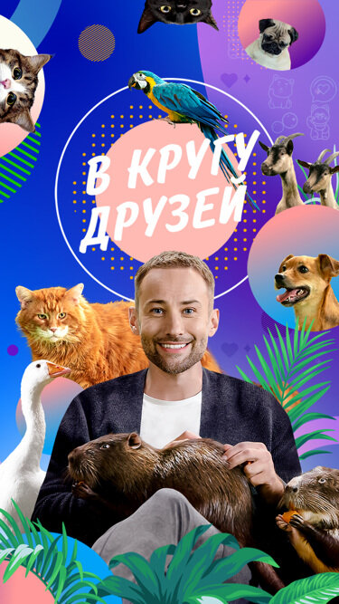 В кругу друзей ne zaman