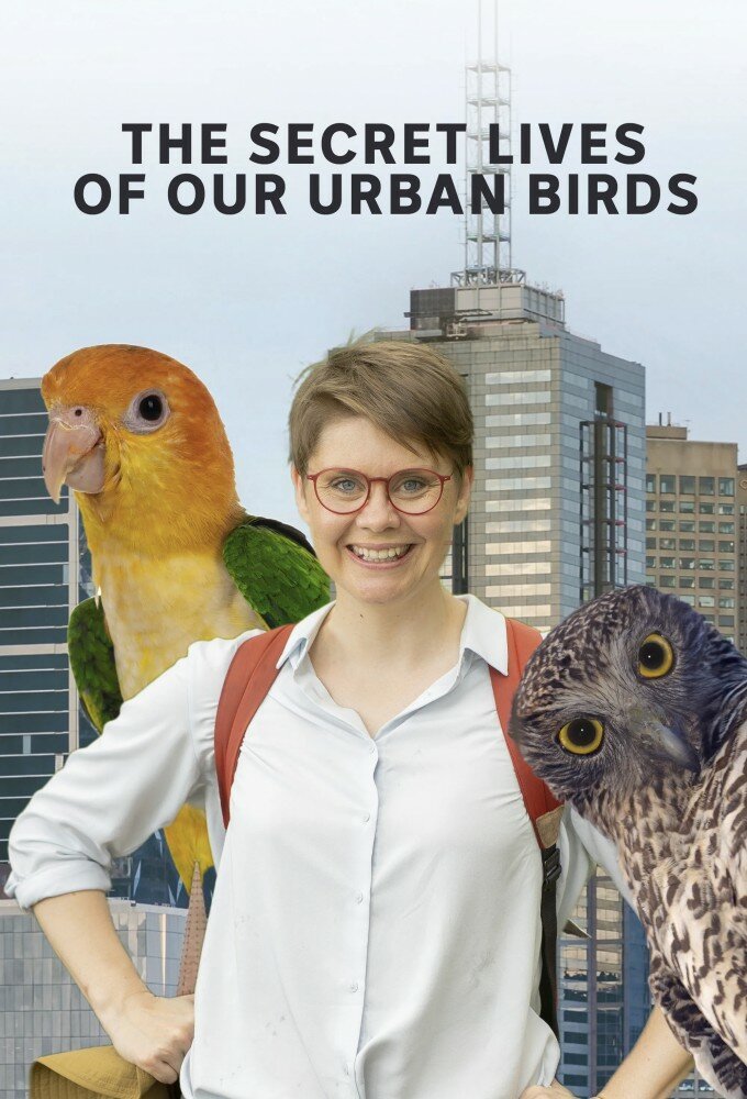 The Secret Lives of Our Urban Birds ne zaman
