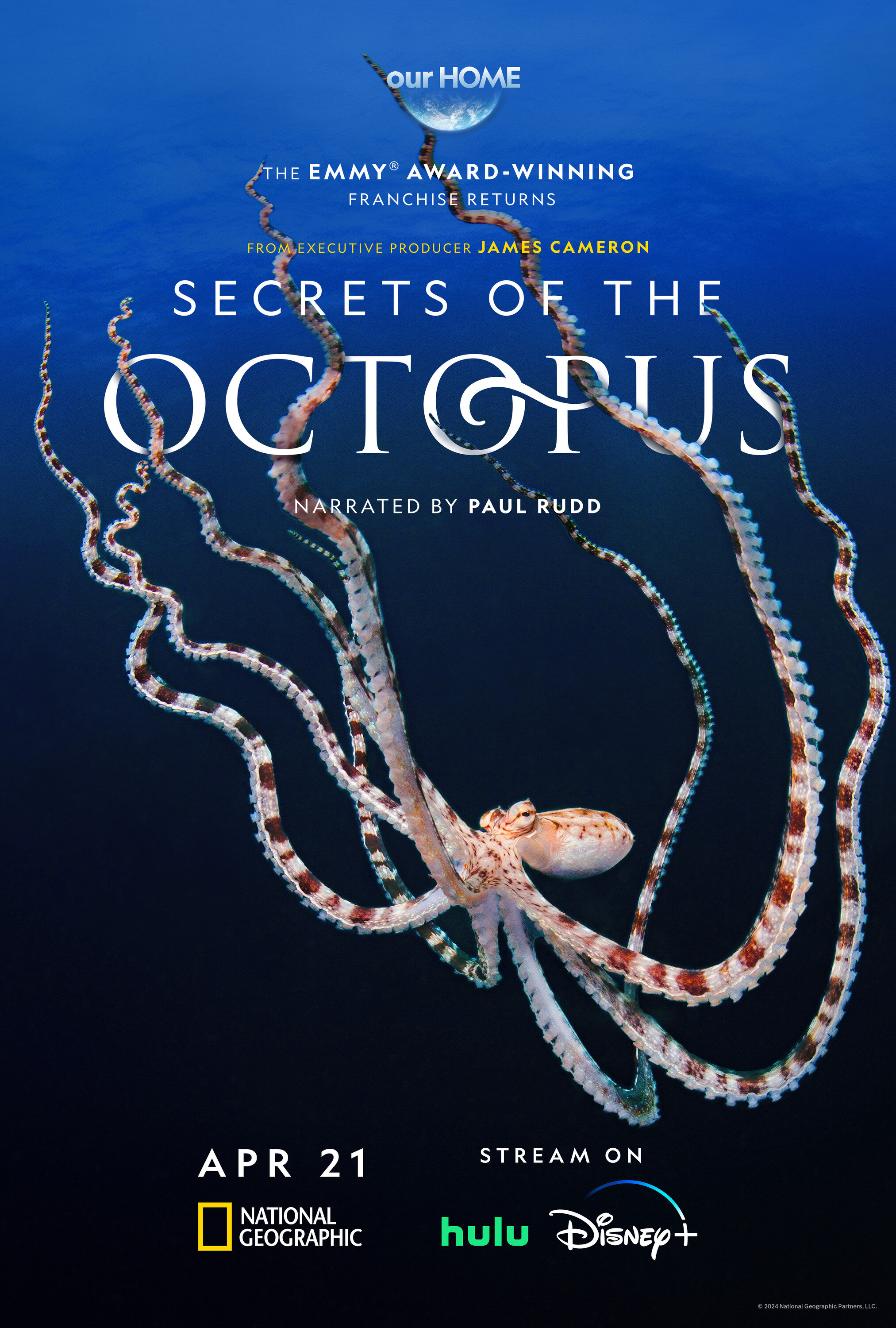 Secrets of the Octopus ne zaman