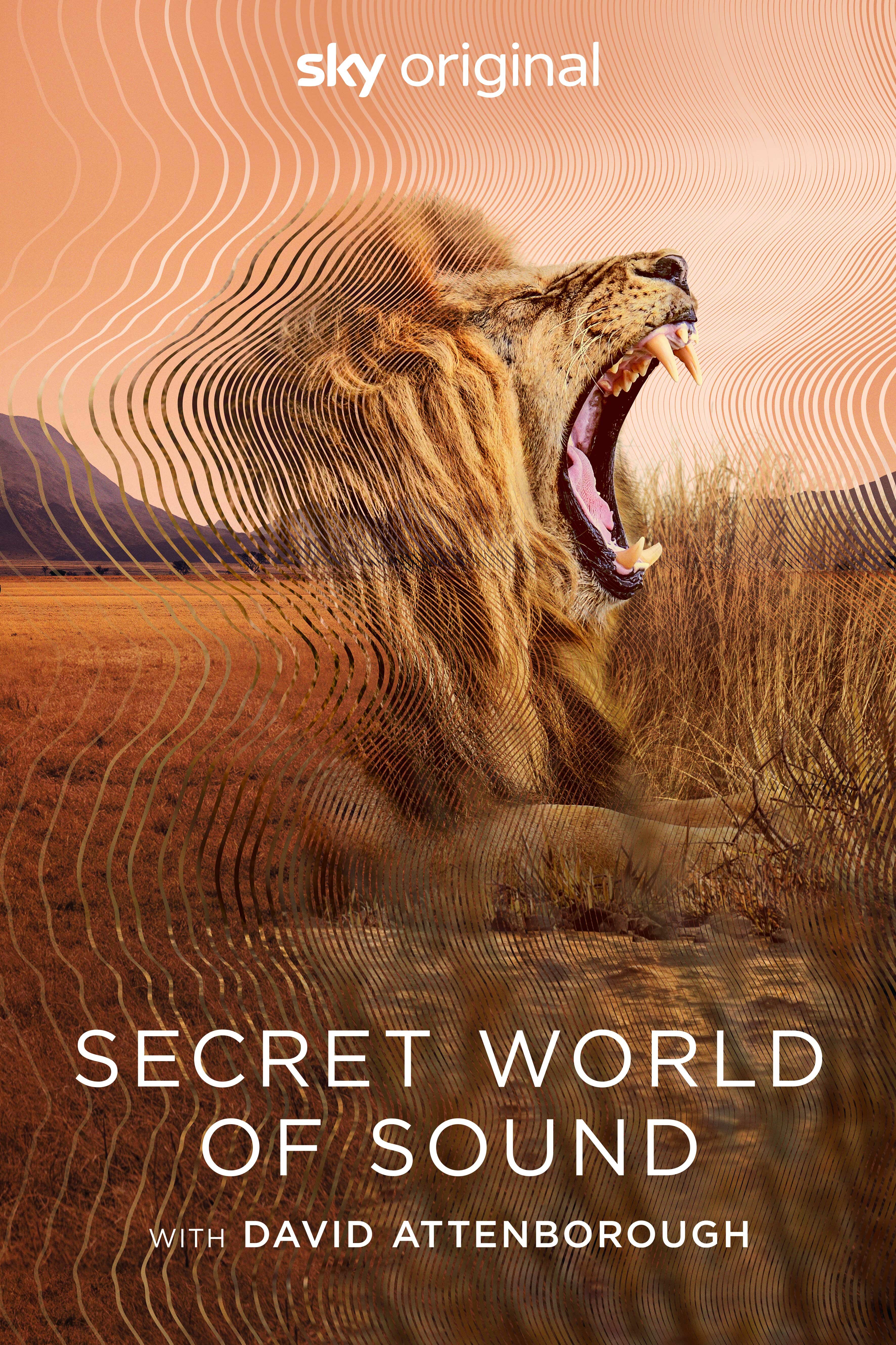Secret World of Sound with David Attenborough ne zaman