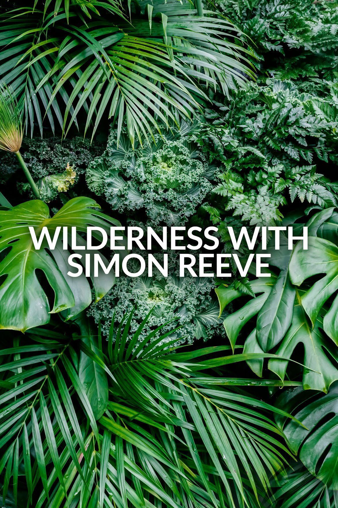 Wilderness with Simon Reeve ne zaman
