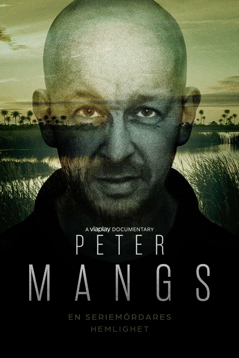 Peter Mangs – en seriemördares hemlighet ne zaman