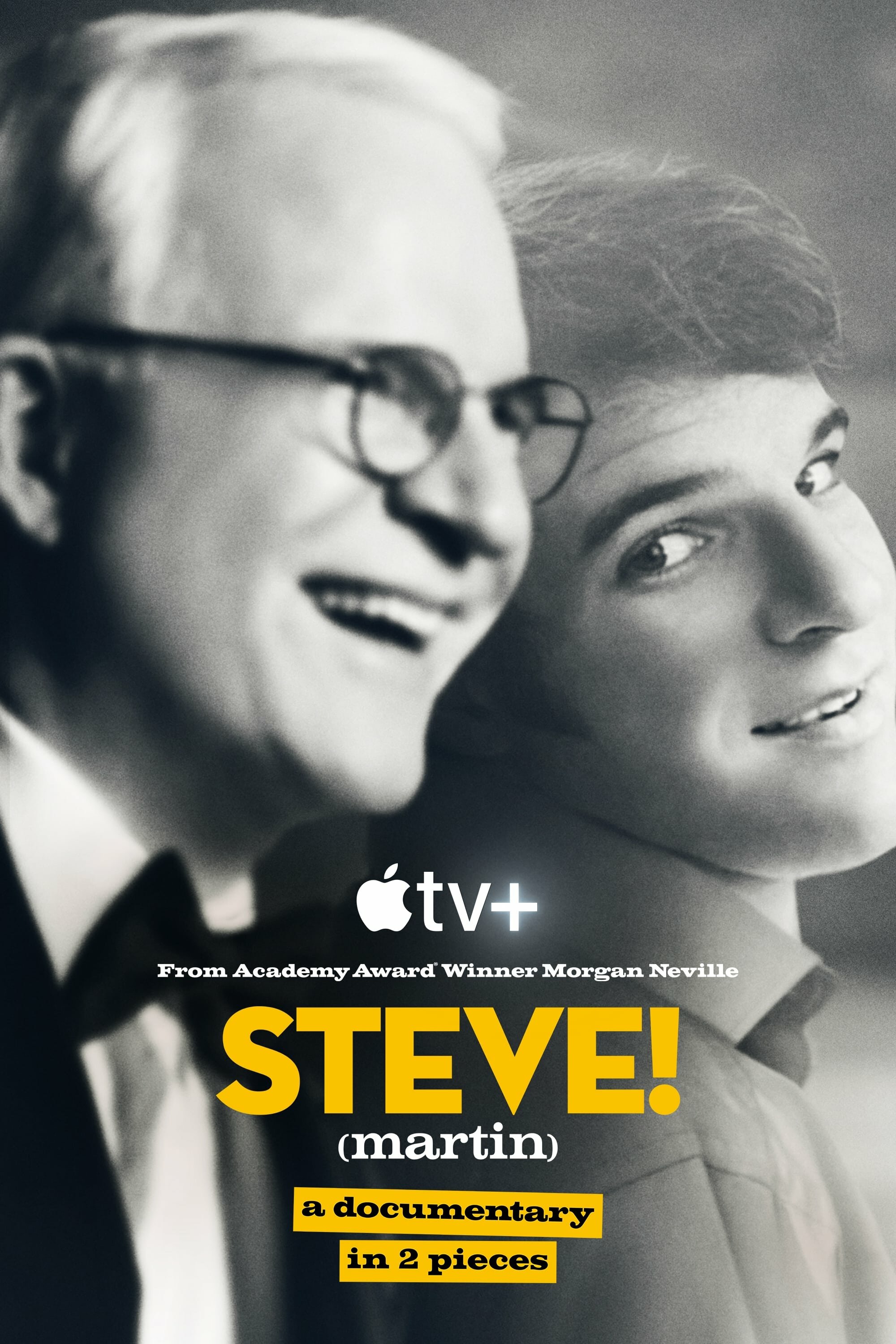STEVE! (martin) a documentary in 2 pieces ne zaman
