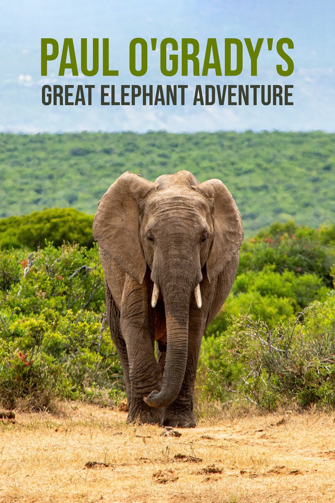 Paul O'Grady's Great Elephant Adventure ne zaman