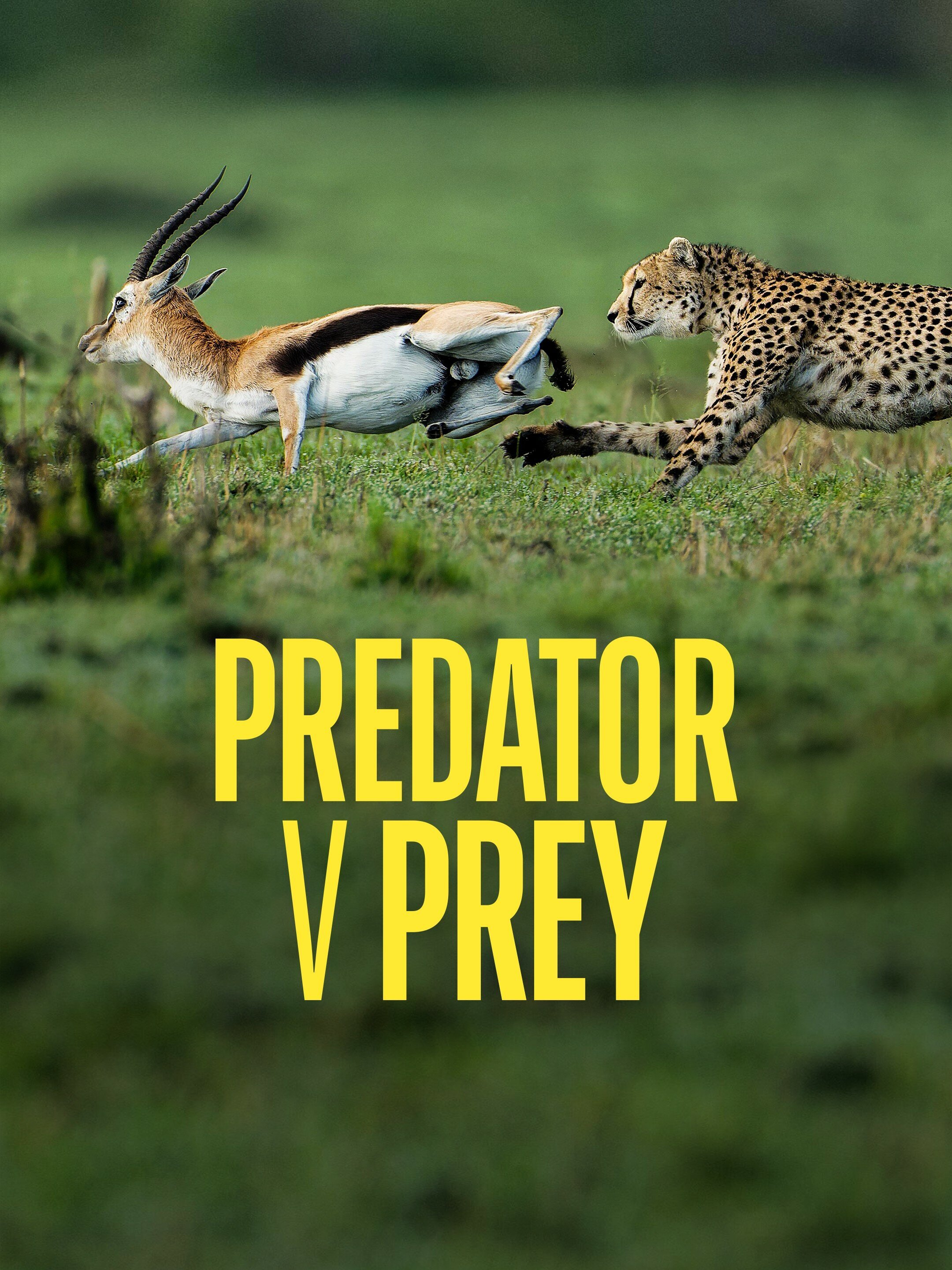 Predator vs Prey ne zaman