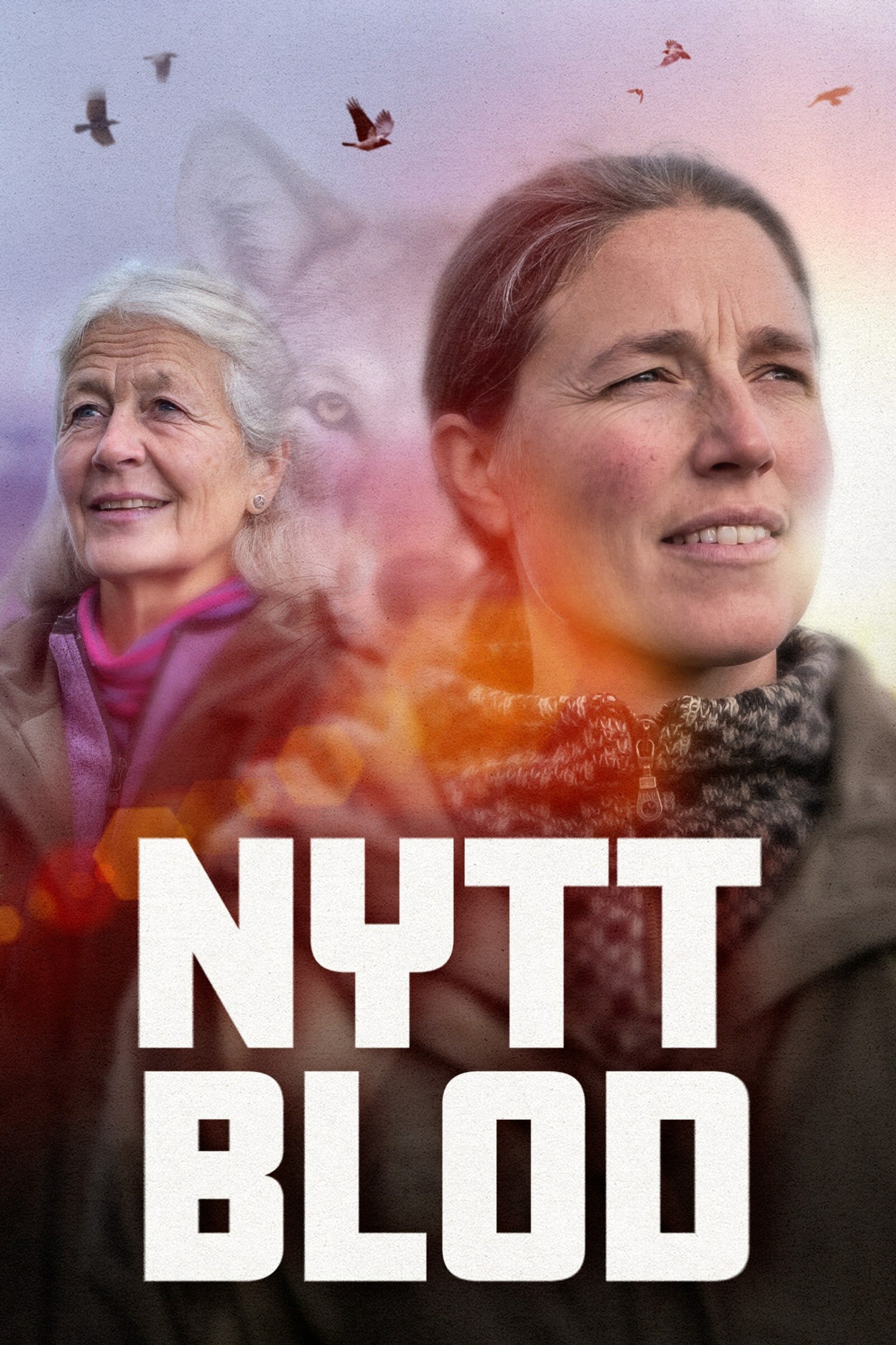 Nytt blod ne zaman