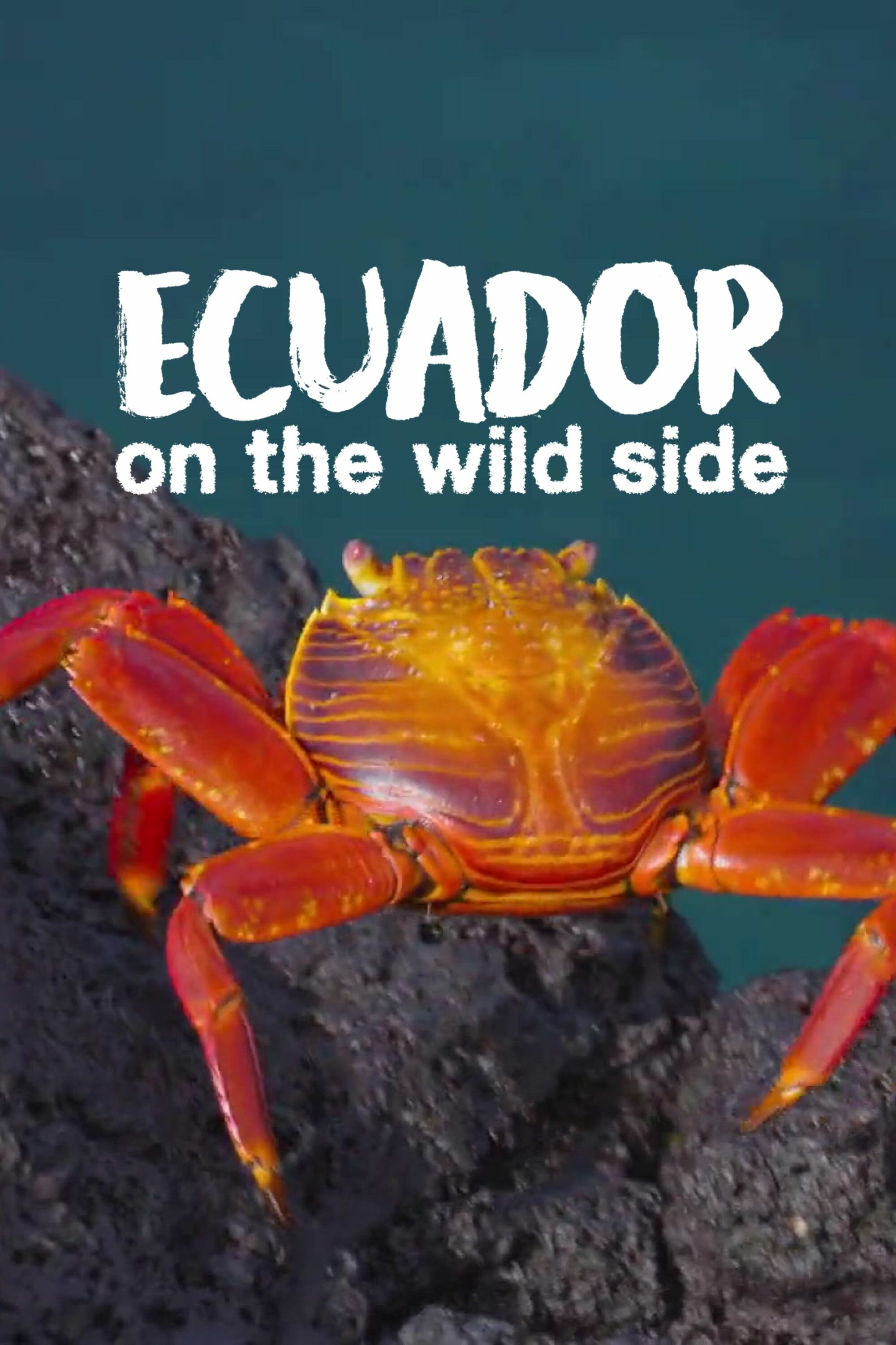 Ecuador: On the Wild Side ne zaman