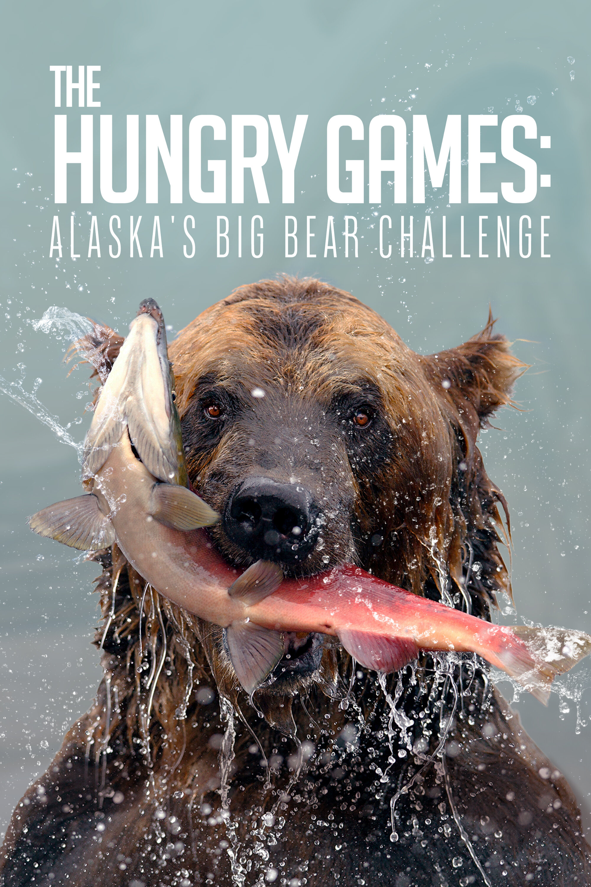 The Hungry Games: Alaska's Big Bear Challenge ne zaman