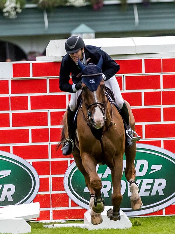 Dublin Horse Show ne zaman
