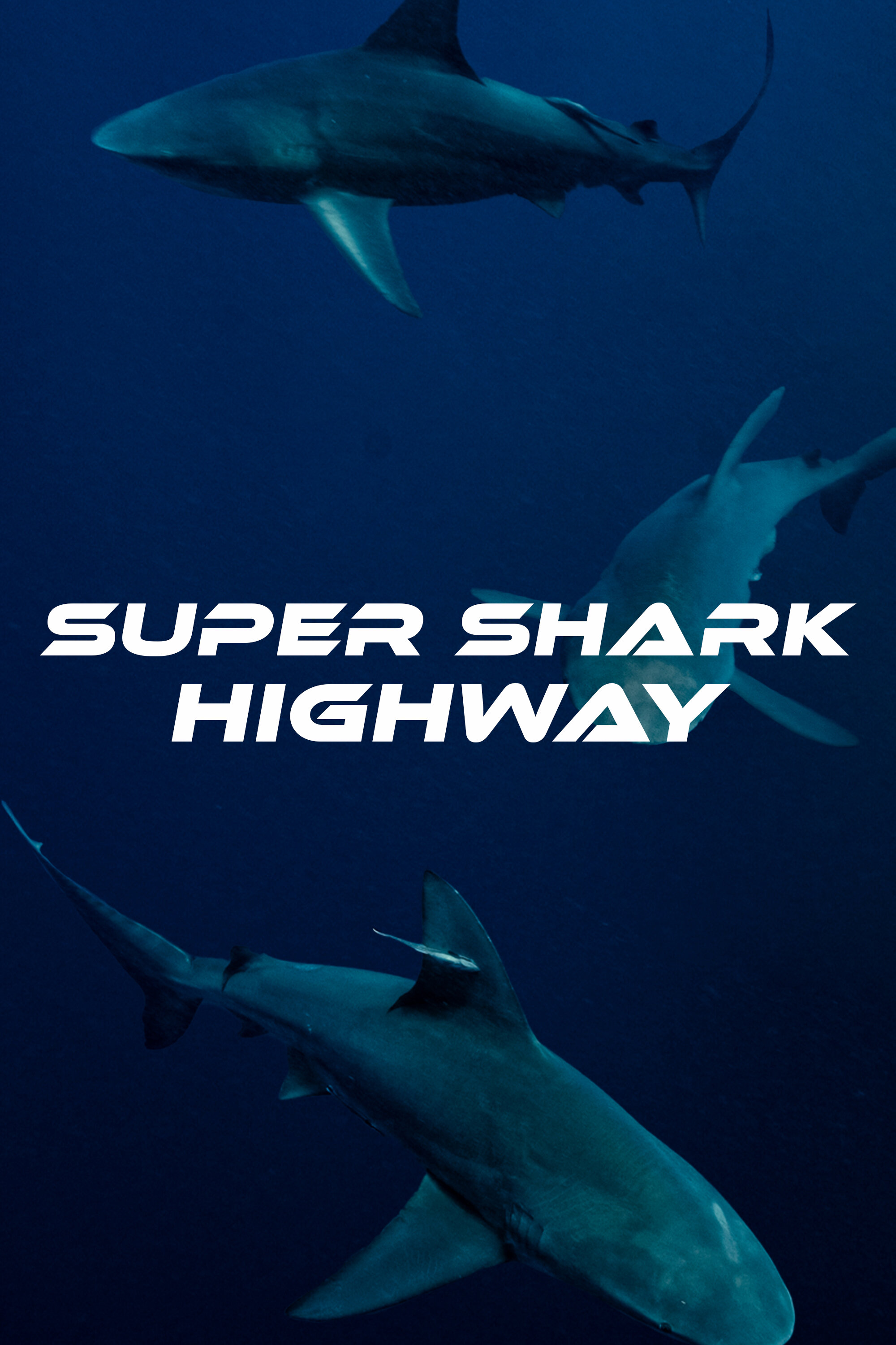 Super Shark Highway ne zaman
