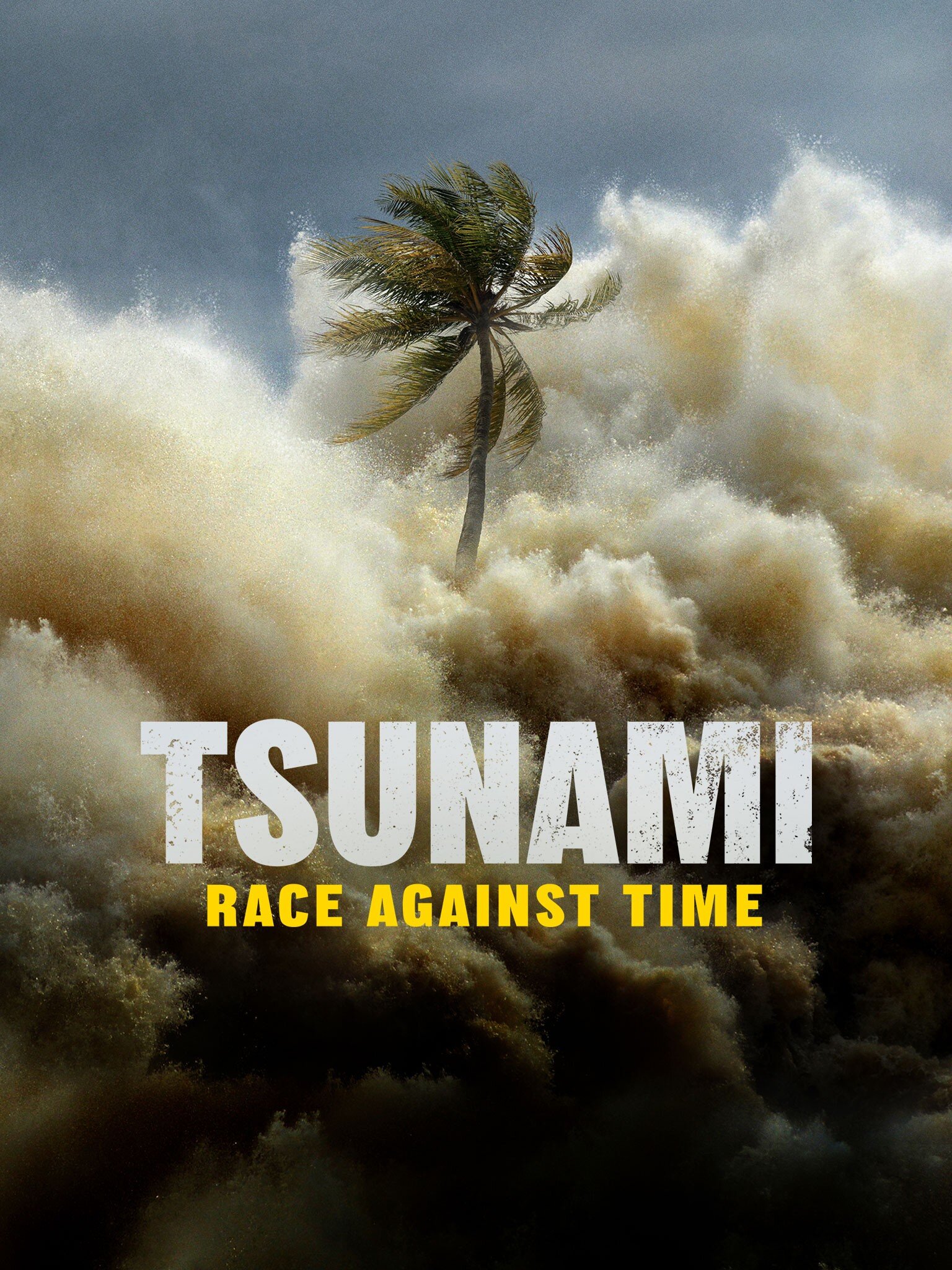Tsunami: Race Against Time ne zaman