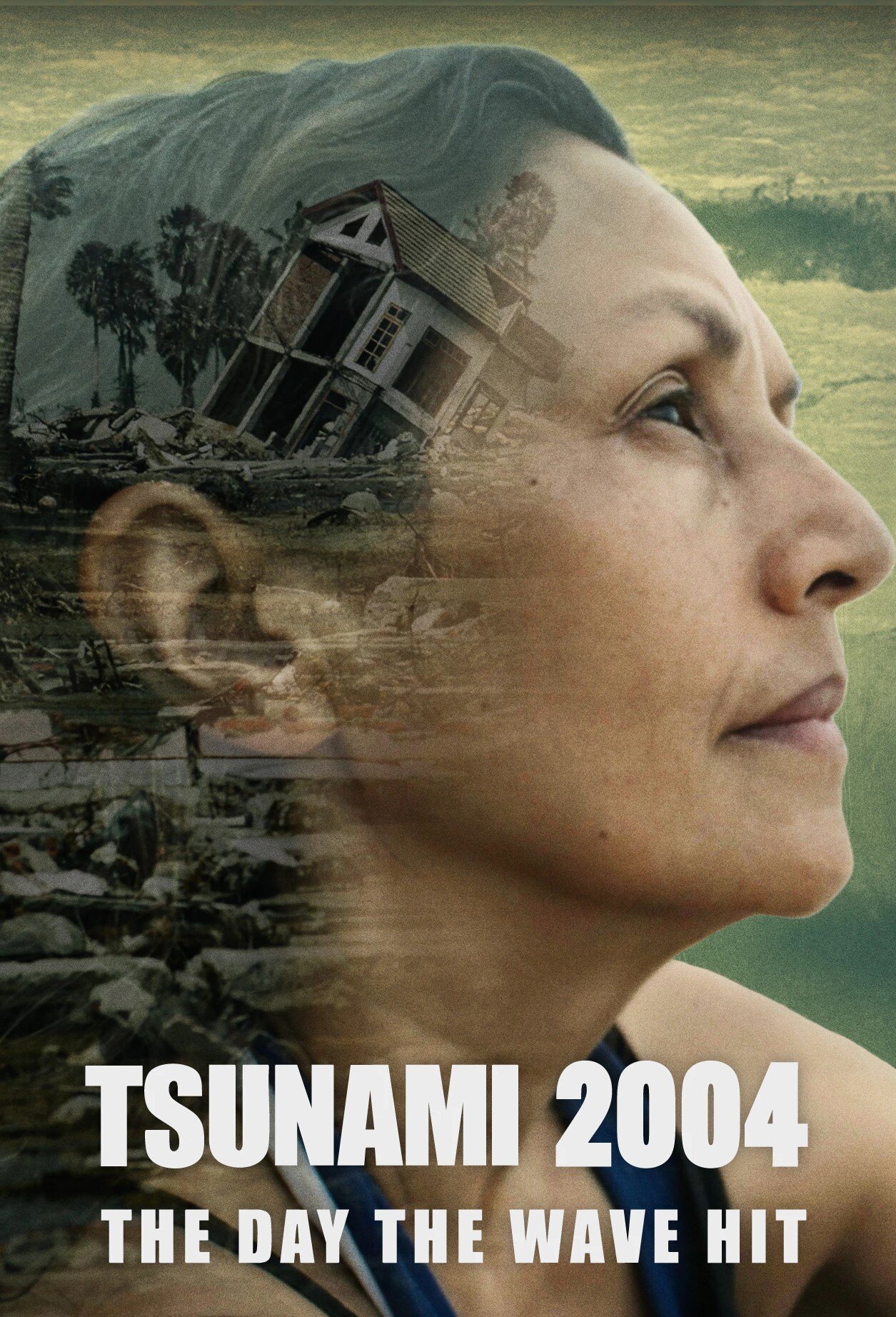 Tsunami 2004: The Day the Wave Hit ne zaman
