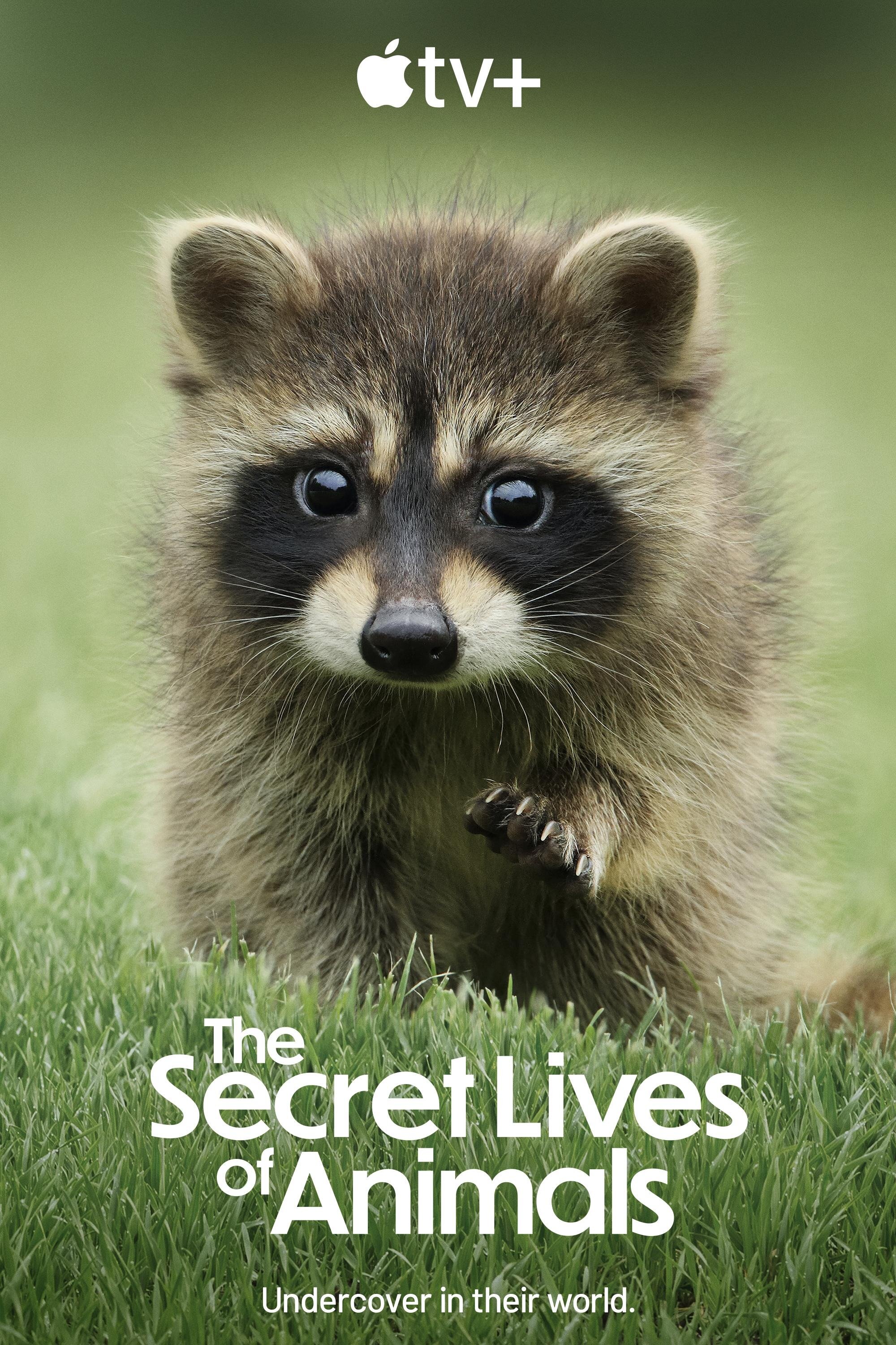 The Secret Lives of Animals ne zaman