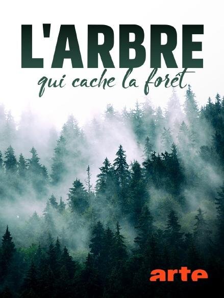 L'arbre qui cache la forêt ne zaman