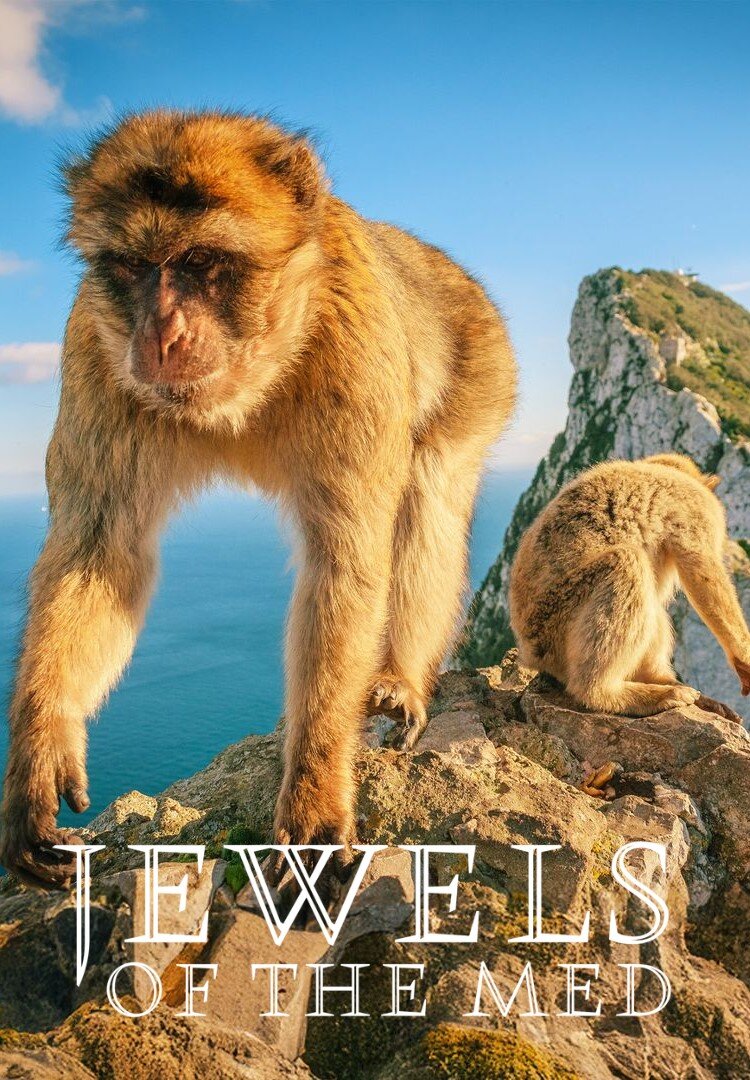 Jewels of the Mediterranean ne zaman