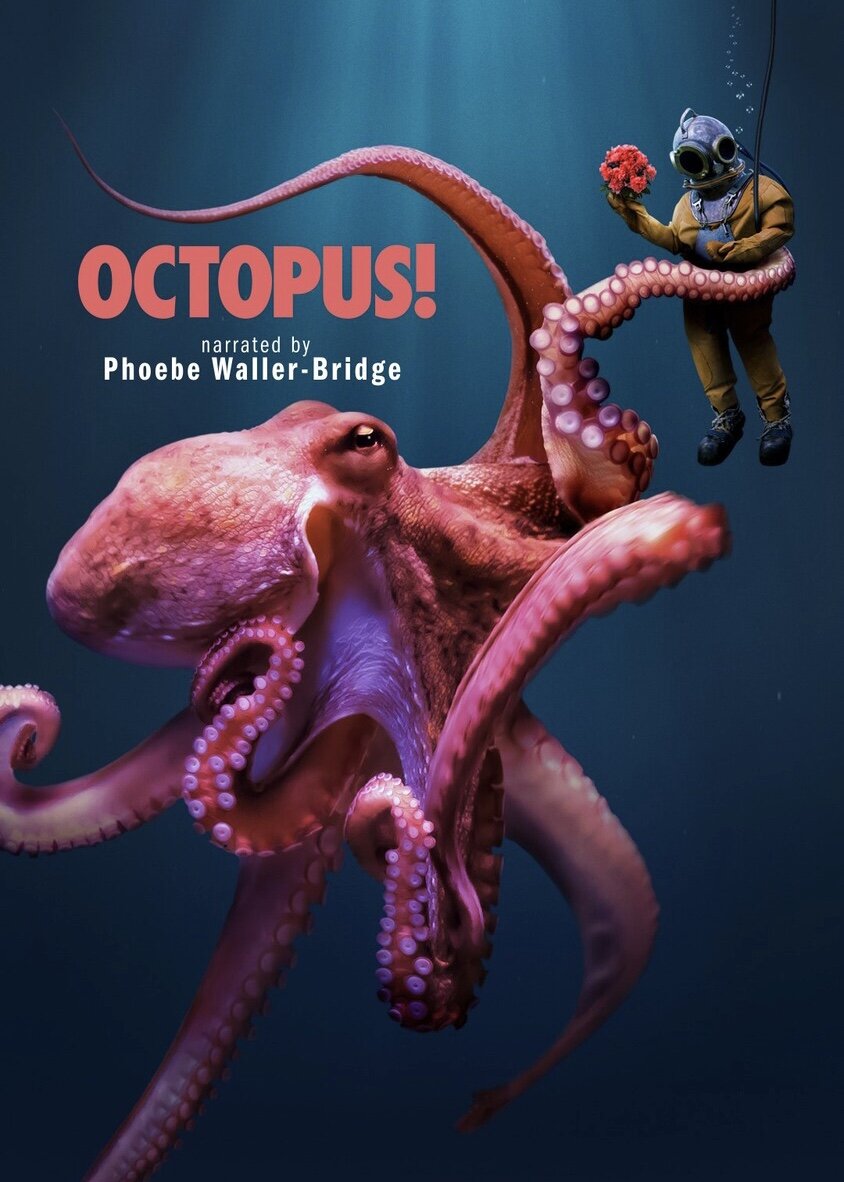 Octopus! ne zaman