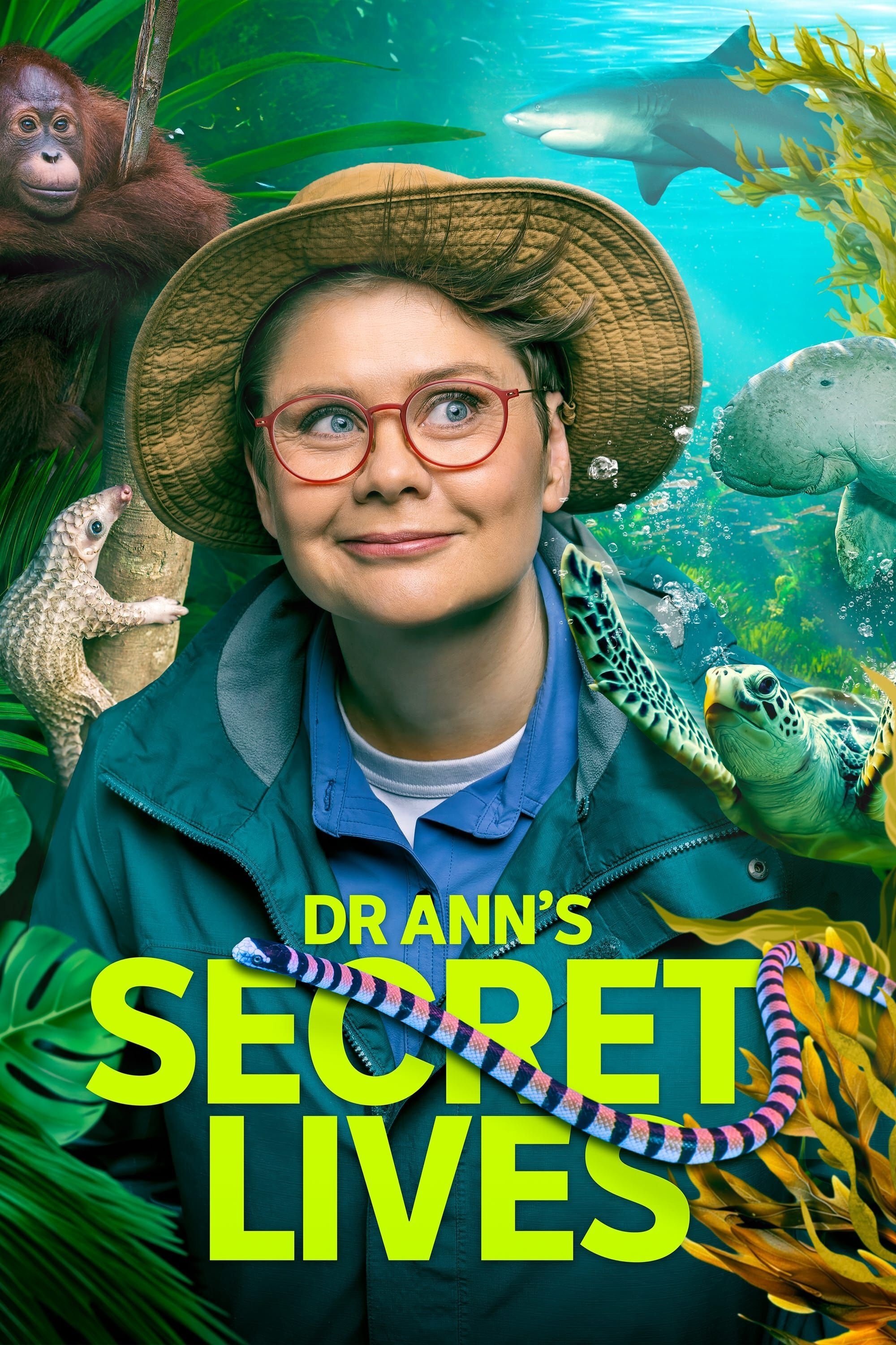 Dr Ann's Secret Lives ne zaman