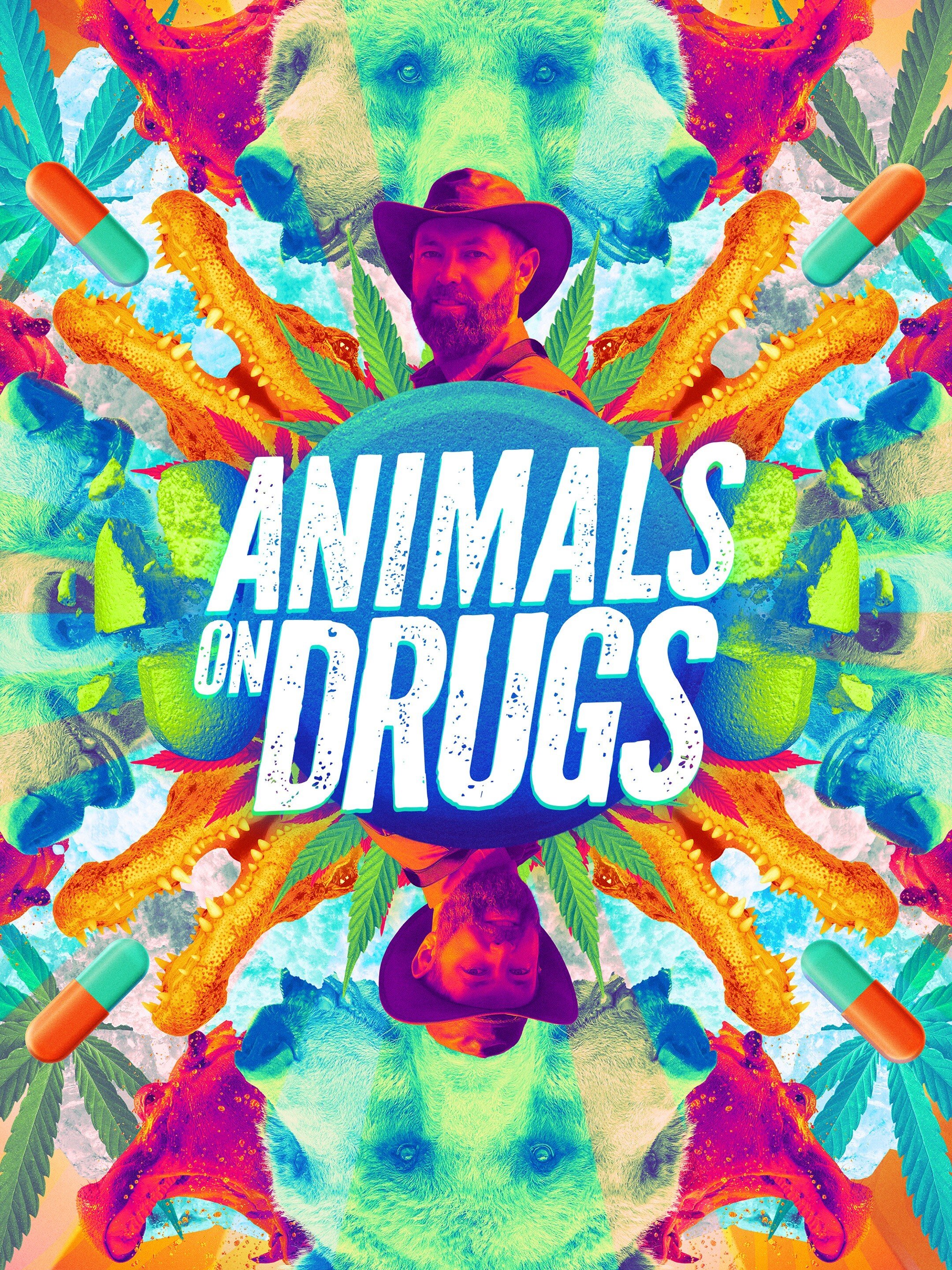 Animals on Drugs ne zaman