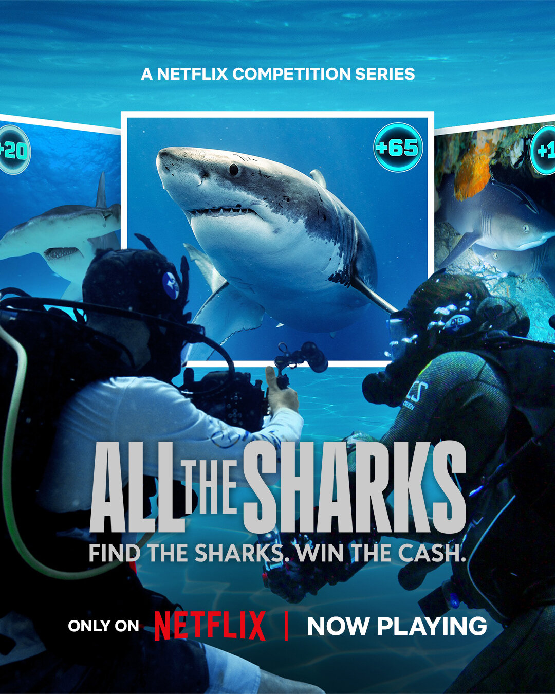 All the Sharks ne zaman