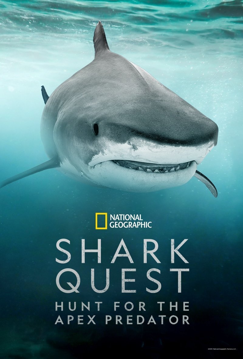 Shark Quest: Hunt For The Apex Predator ne zaman