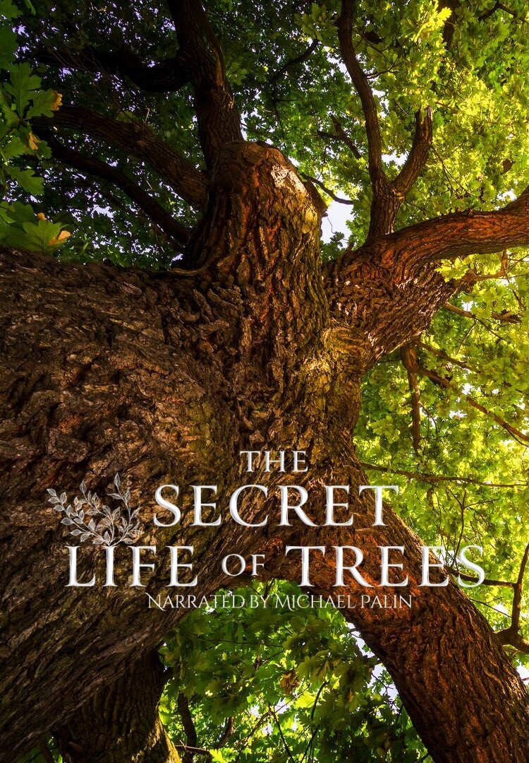 The Secret Life of Trees ne zaman