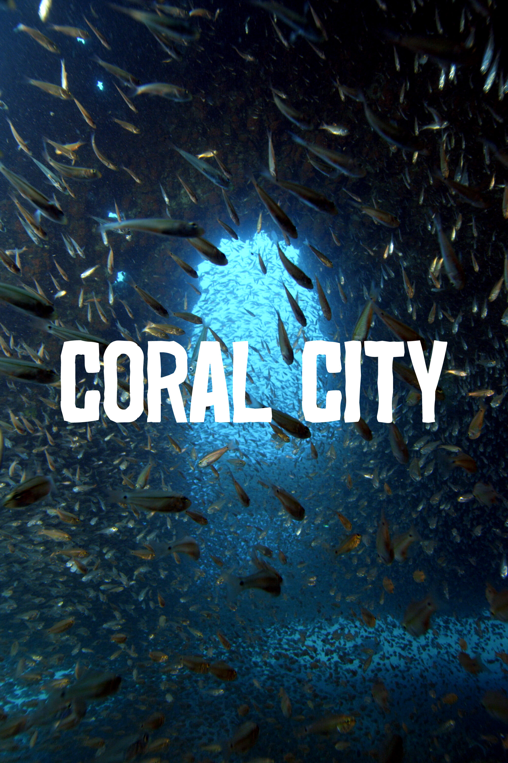 Coral City ne zaman
