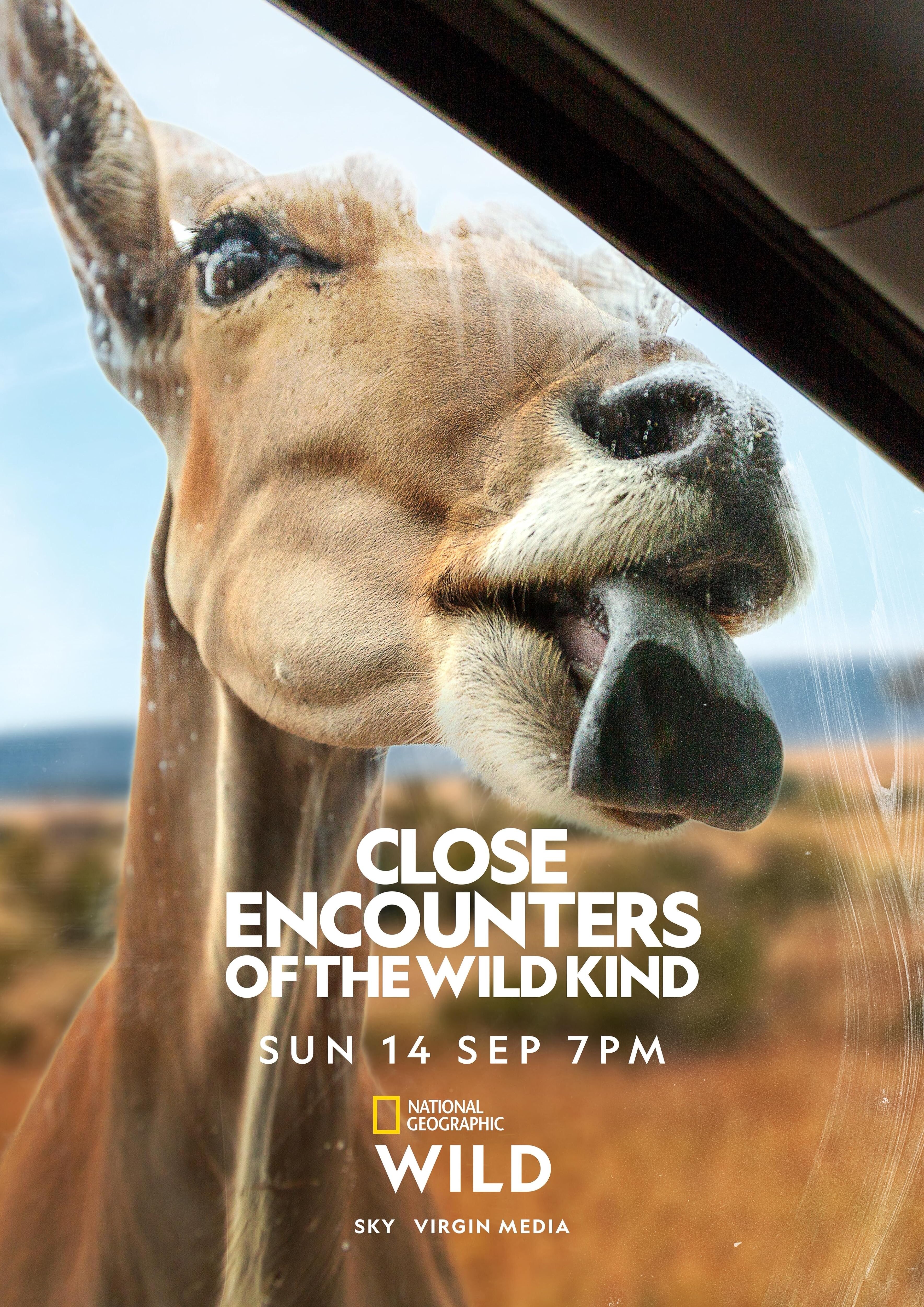 Close Encounters of the Wild Kind ne zaman