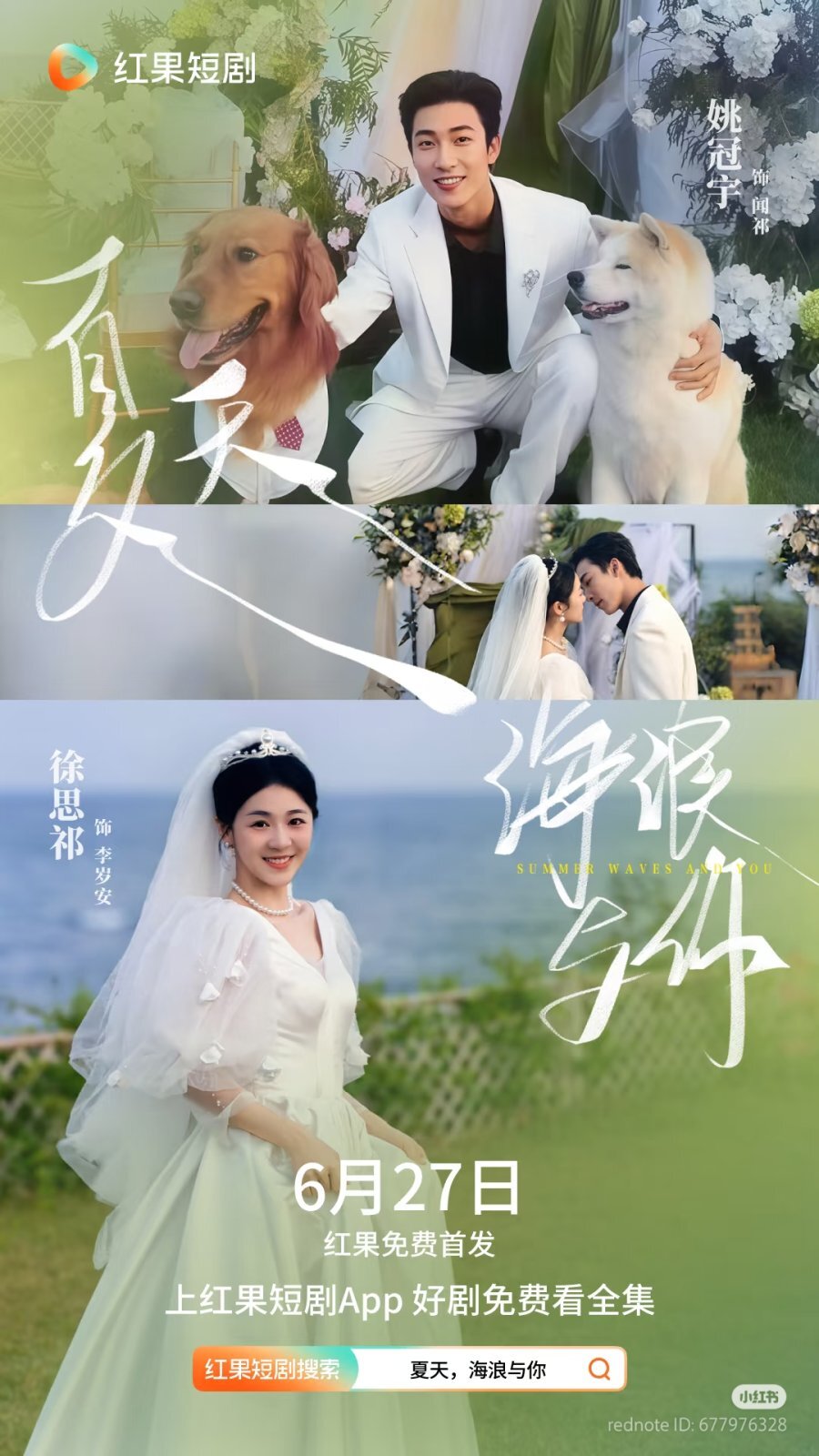 Summer Waves and You ne zaman