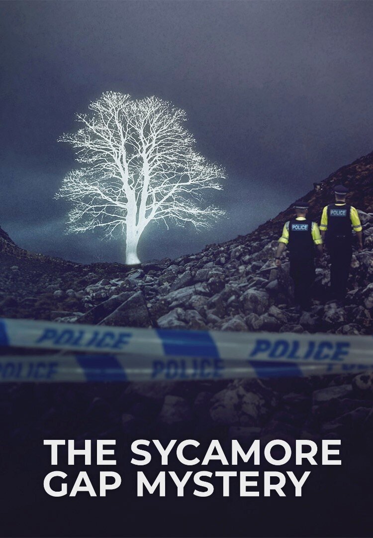 The Sycamore Gap Tree Mystery ne zaman