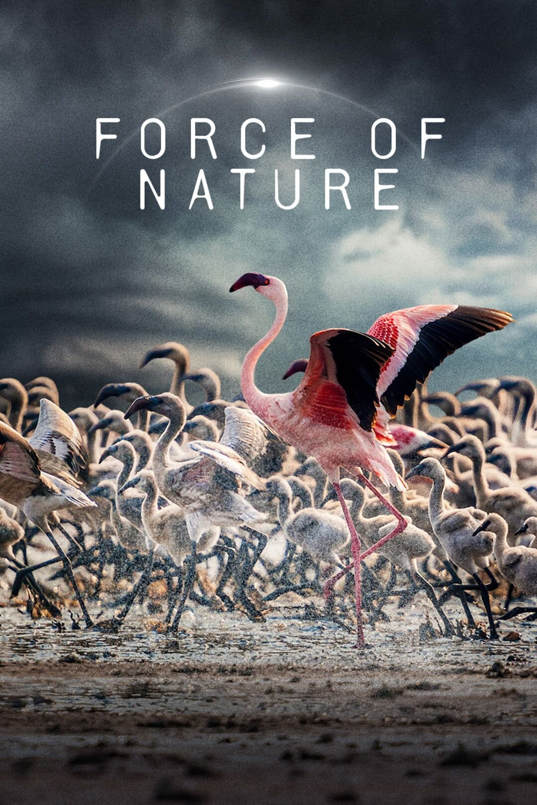 Force of Nature ne zaman
