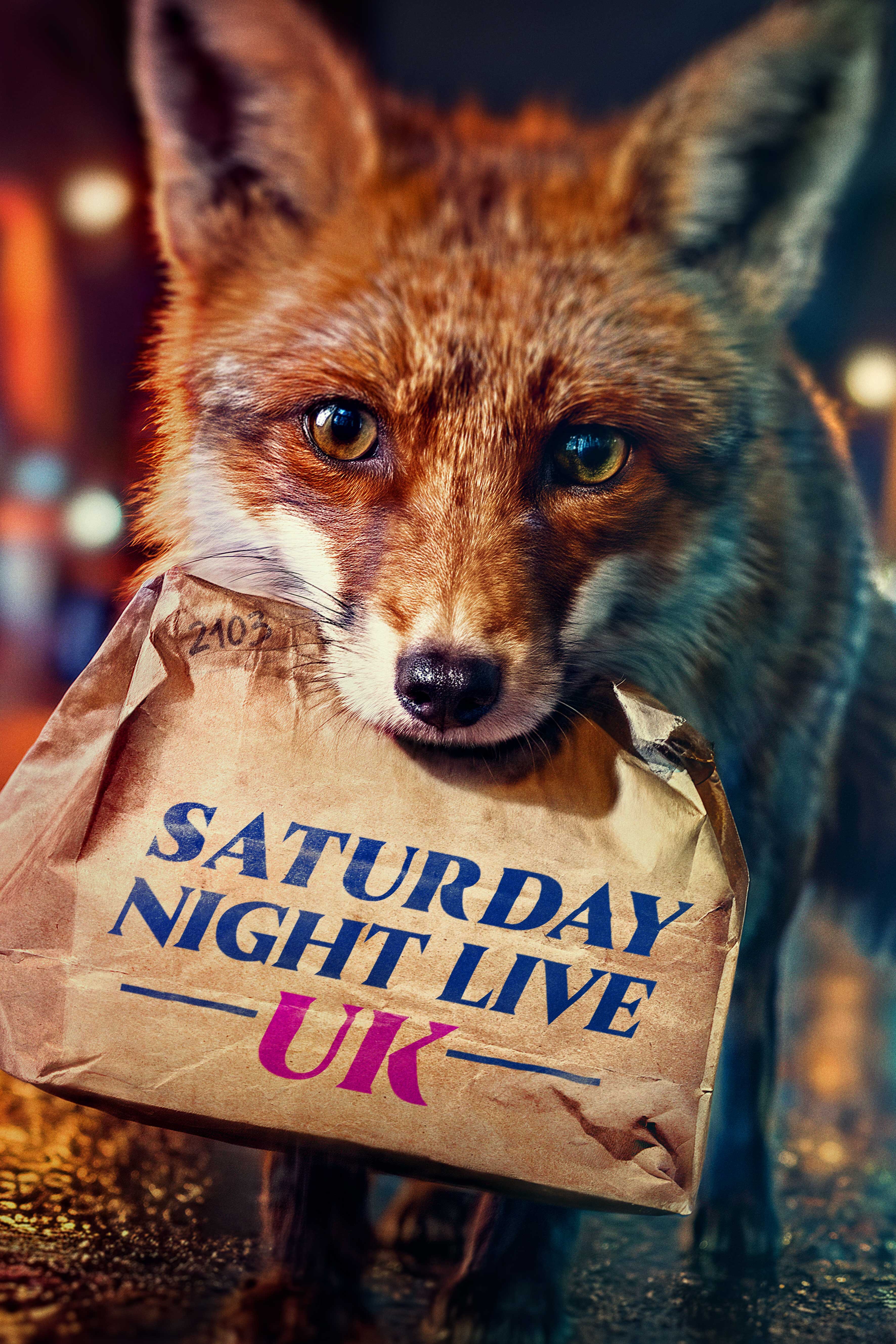 Saturday Night Live UK ne zaman