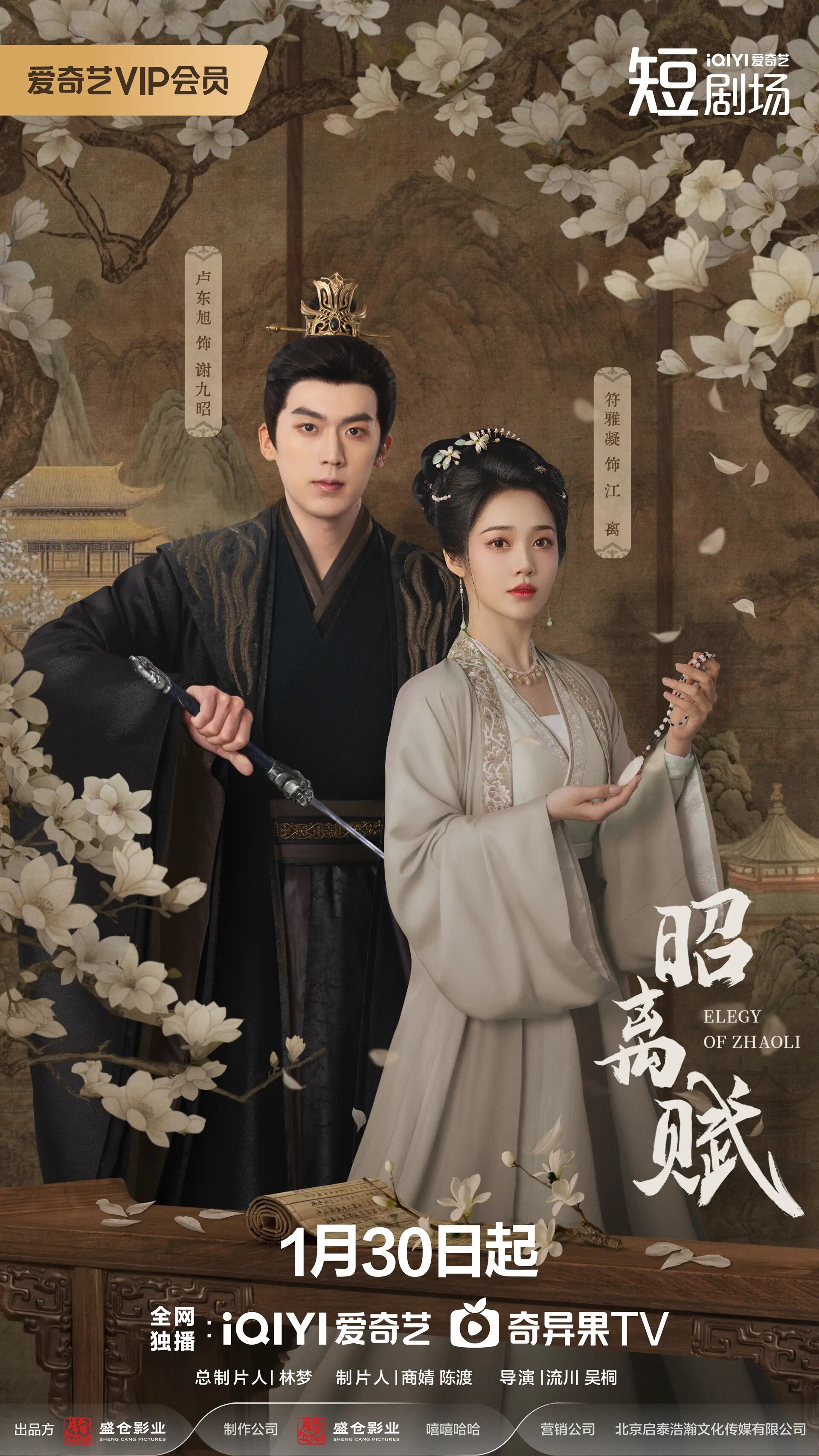 Elegy of ZhaoLi ne zaman