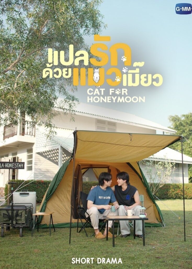 Cat for honeymoon ne zaman