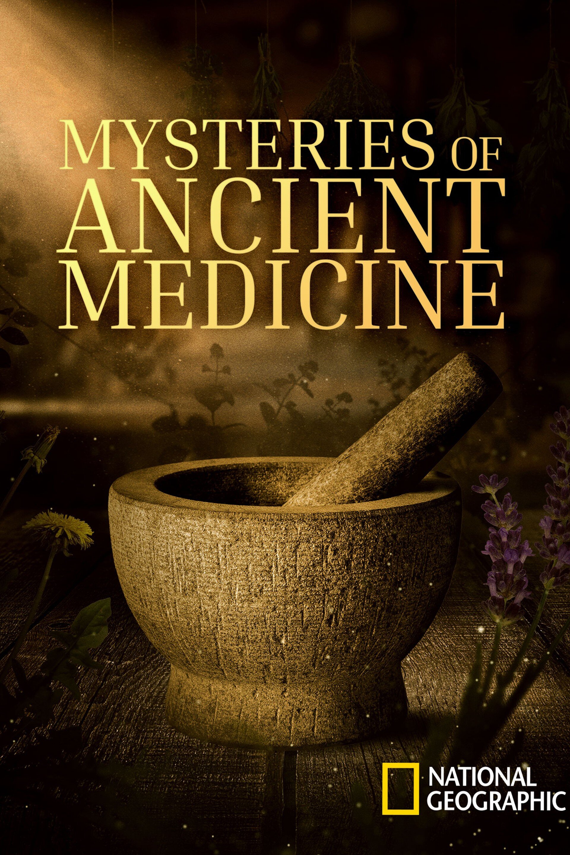 Mysteries of Ancient Medicine ne zaman