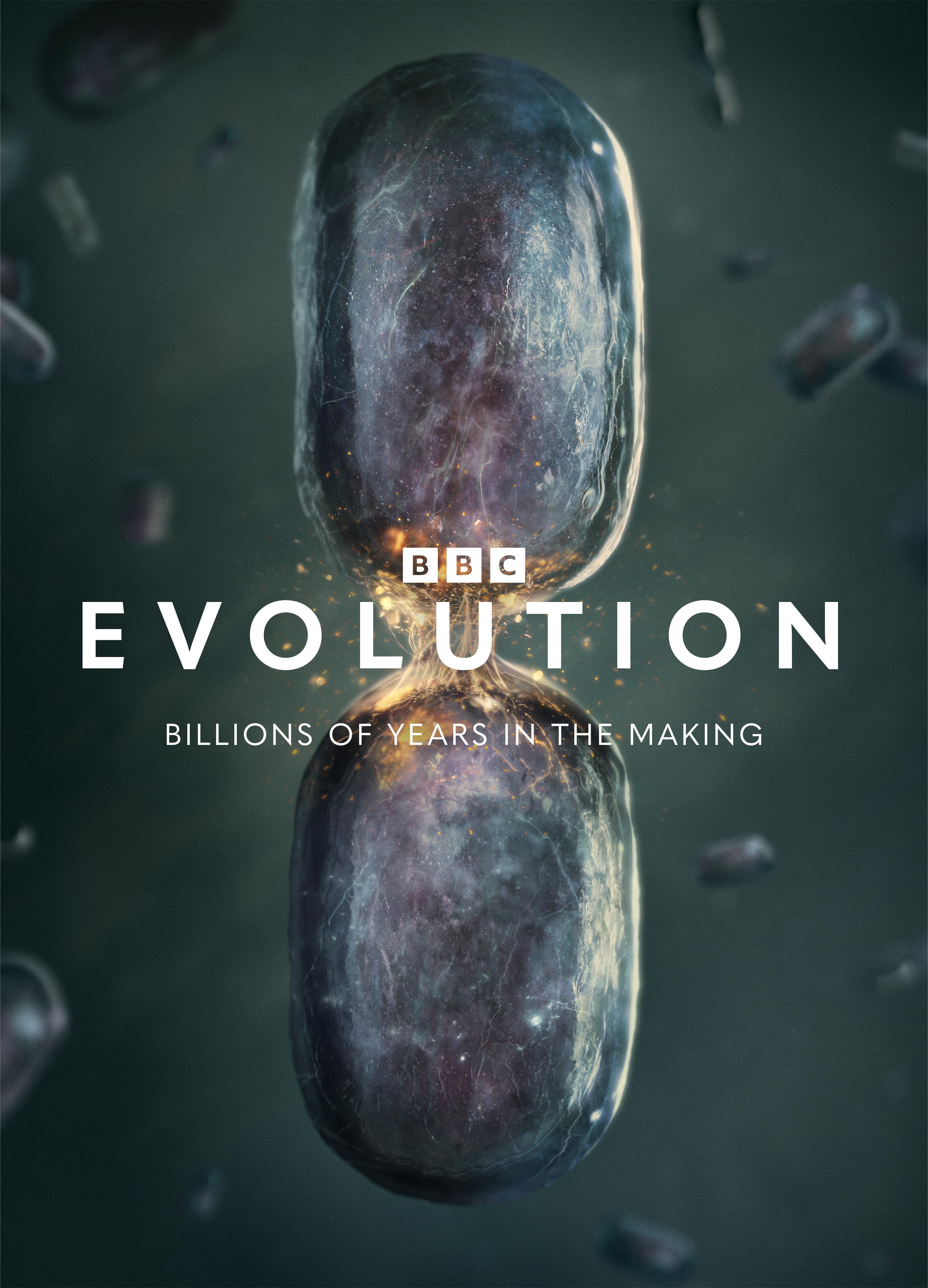 Evolution ne zaman