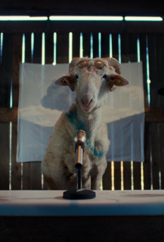 Sheep ne zaman