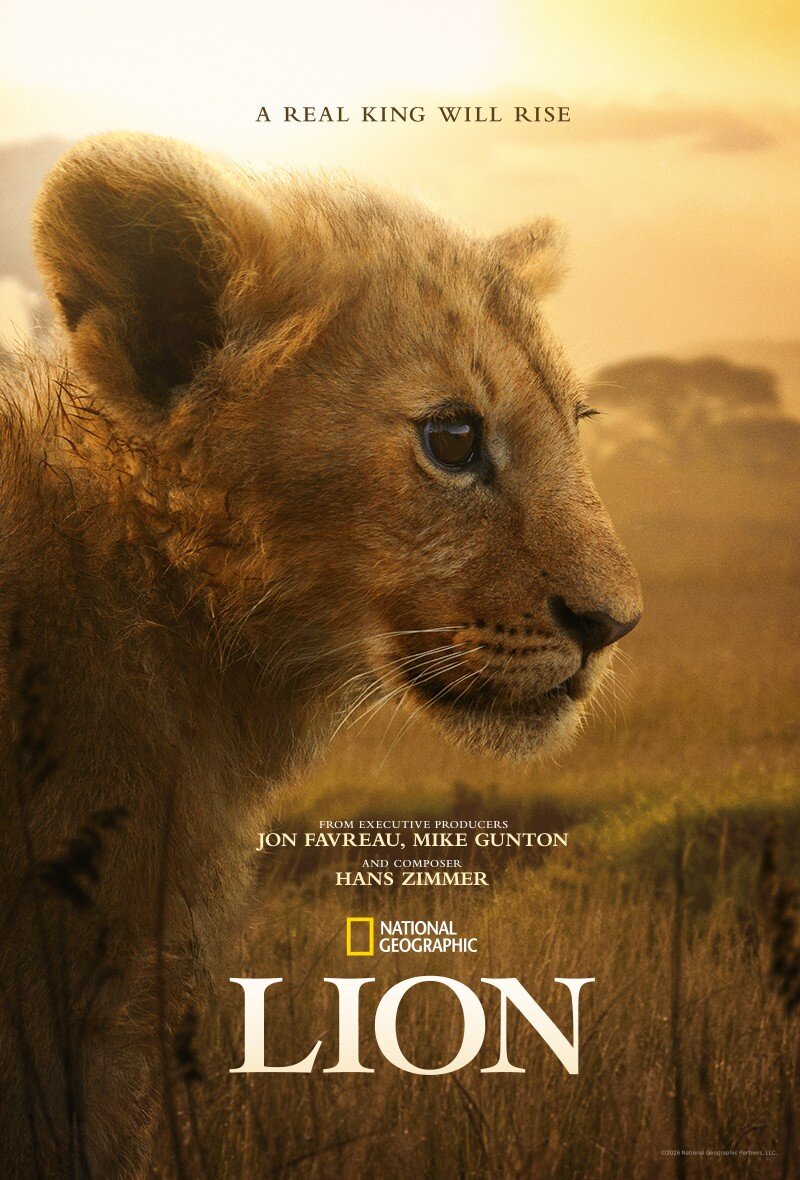 LION ne zaman
