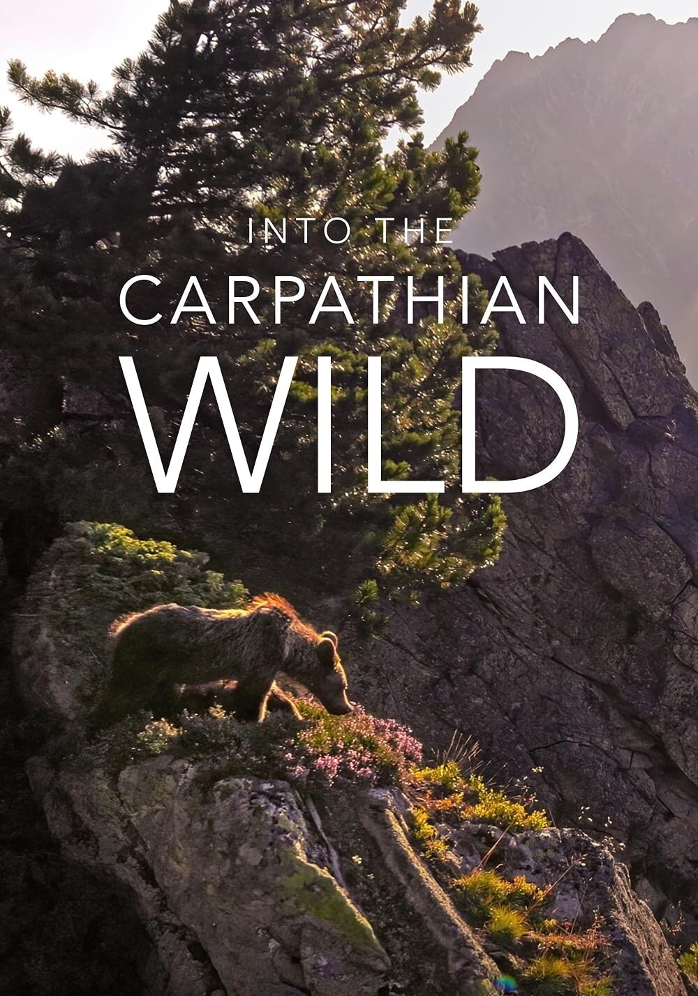 Into the Carpathian Wild ne zaman