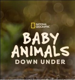 Baby Animals Down Under ne zaman
